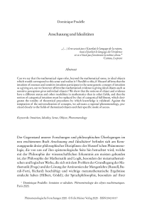 Anschauung und Idealitäten