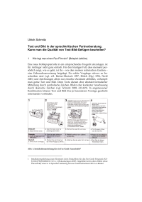 Text und Bild in der sprachkritischen Partnerberatung. Kann man die Qualität von Text-Bild-Gefügen beurteilen?