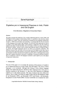 Sprachtypologie - Expletive pro in Impersonal Passives in Irish, Polish and Old English