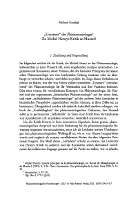 Umsturz der Phänomenologie?