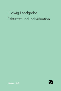 Faktizität und Individuation Faktizität und Individuation