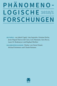 Phänomenologische Forschungen